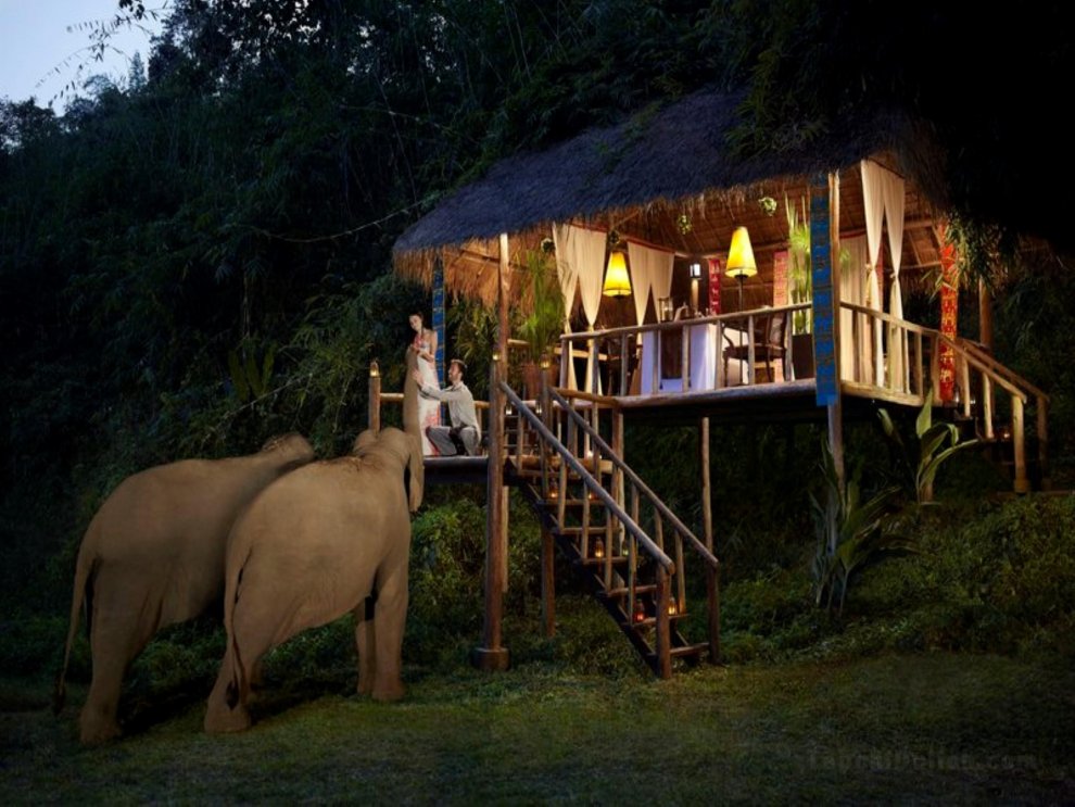 Anantara Golden Triangle Elephant Camp & Resort (SHA Extra Plus)