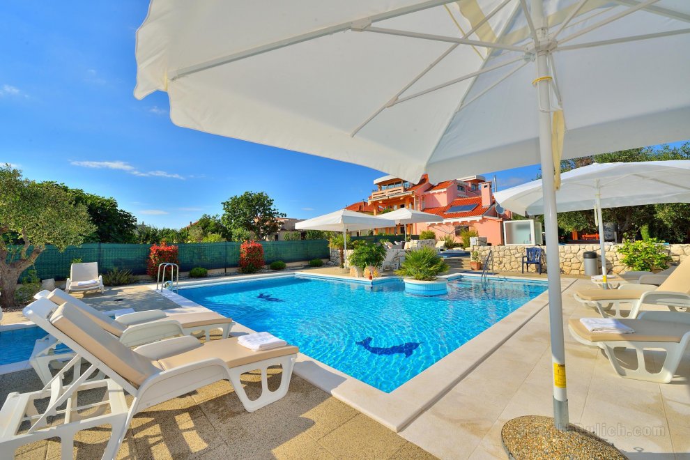 Nicest villa with pool in Zadar has 3 apartments 