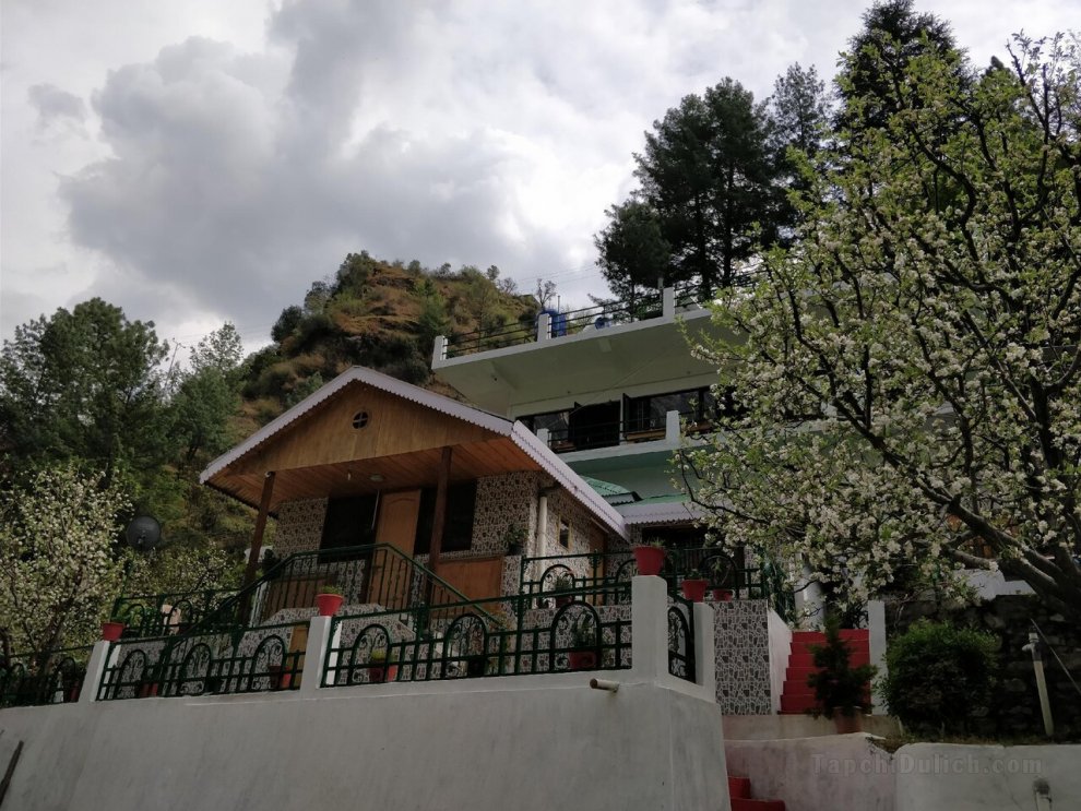Parvati View Homestay
