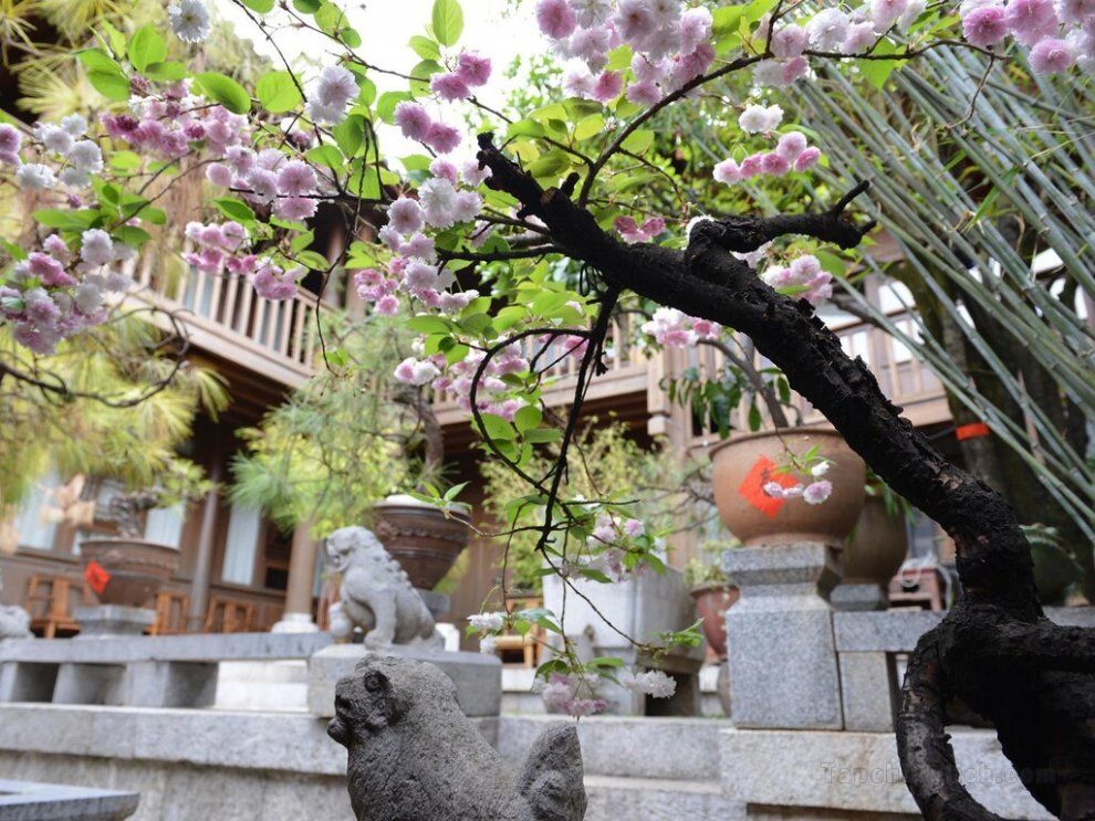 Khách sạn Zen Garden Wuyi Yard