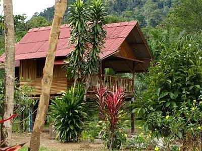 Khaosok Palmview Resort