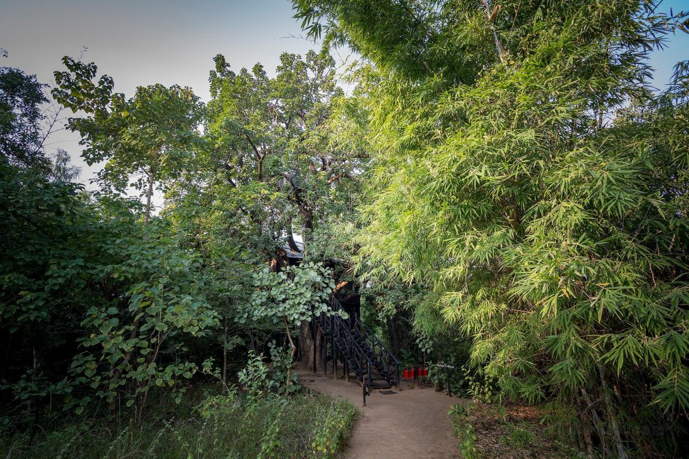 Pugdundee safaris - Tree House Hideaway