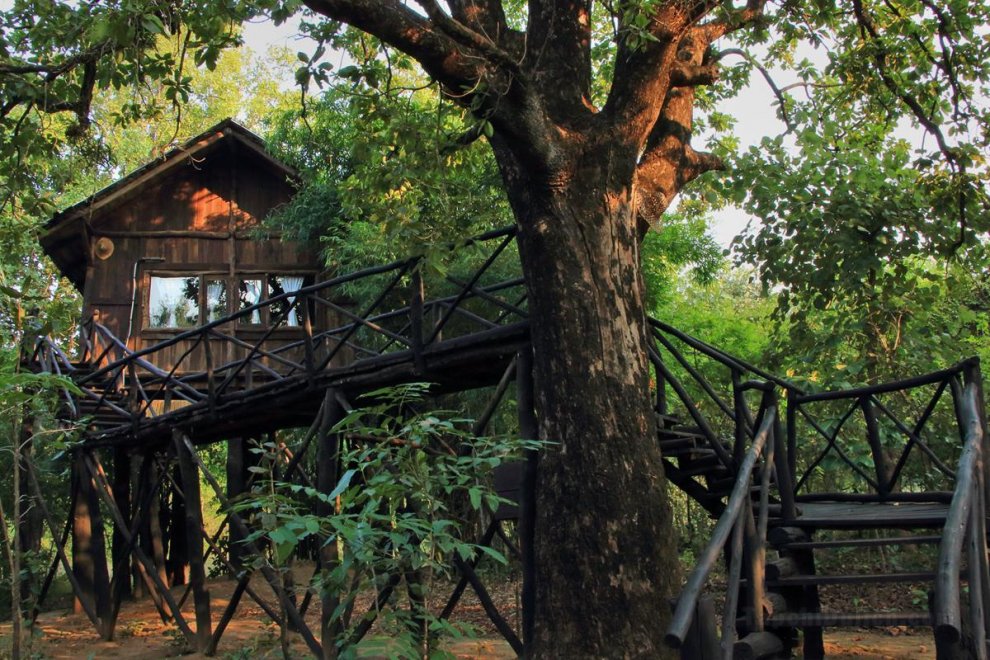 Pugdundee safaris - Tree House Hideaway