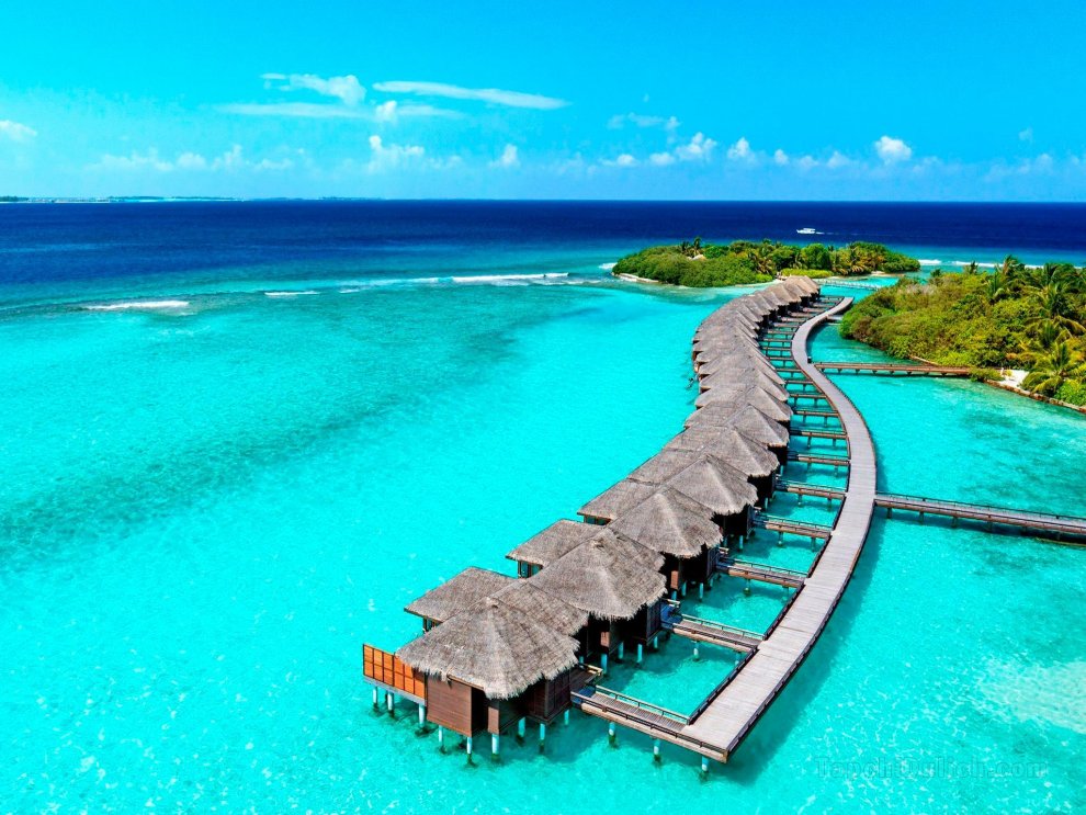 Sheraton Maldives Full Moon Resort & Spa with Free Transfers