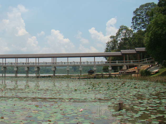 Lake Chini Resort