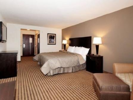 Comfort Inn & Suites near Bethel College