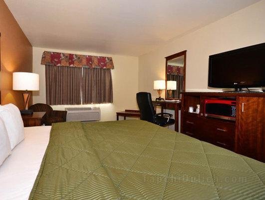 Comfort Inn & Suites Midtown