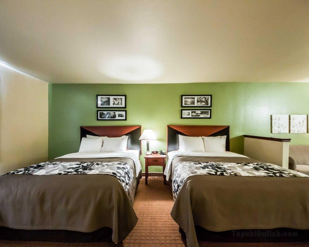 Sleep Inn and Suites Shamrock