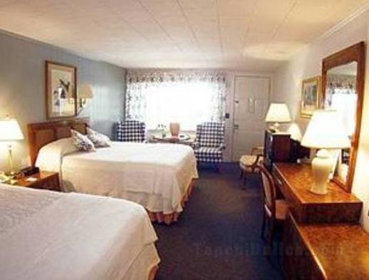 Mount Battie Motel and Bed and Breakfast
