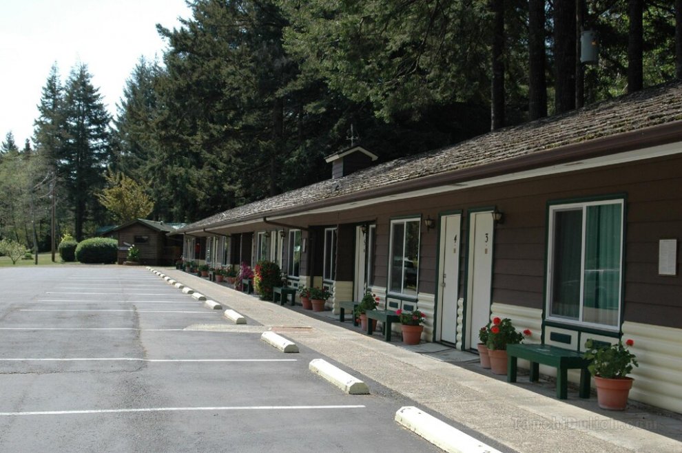 Park Motel and Cabins