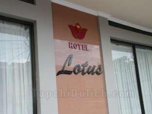 Khách sạn Lotus