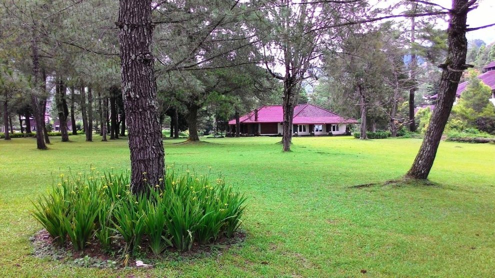 Khách sạn Taman Piknik