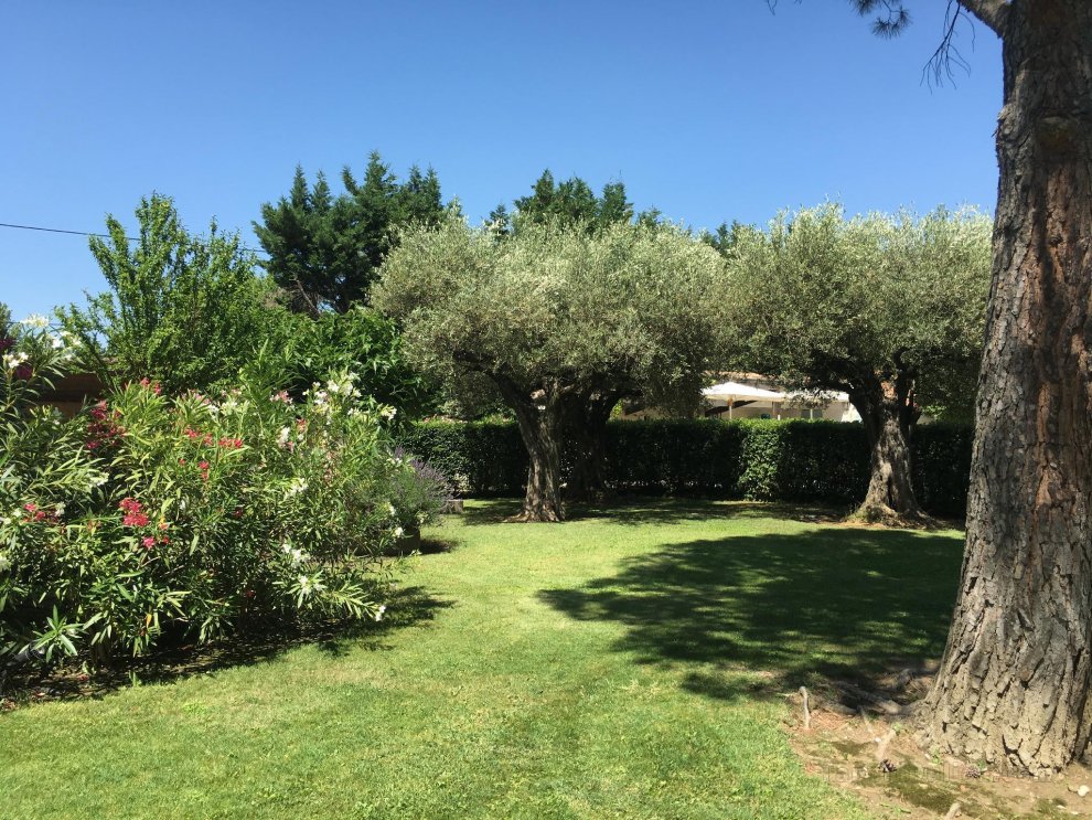 Stunning Provencal Mas in the heart of Provence in between St Remy and Avignon