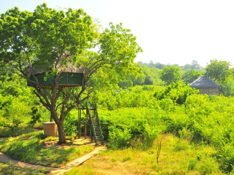 Beddegama Ecopark Villa