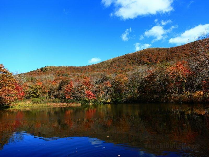 Kyukamura Azumayama-Lodge National Park Resorts of Japan