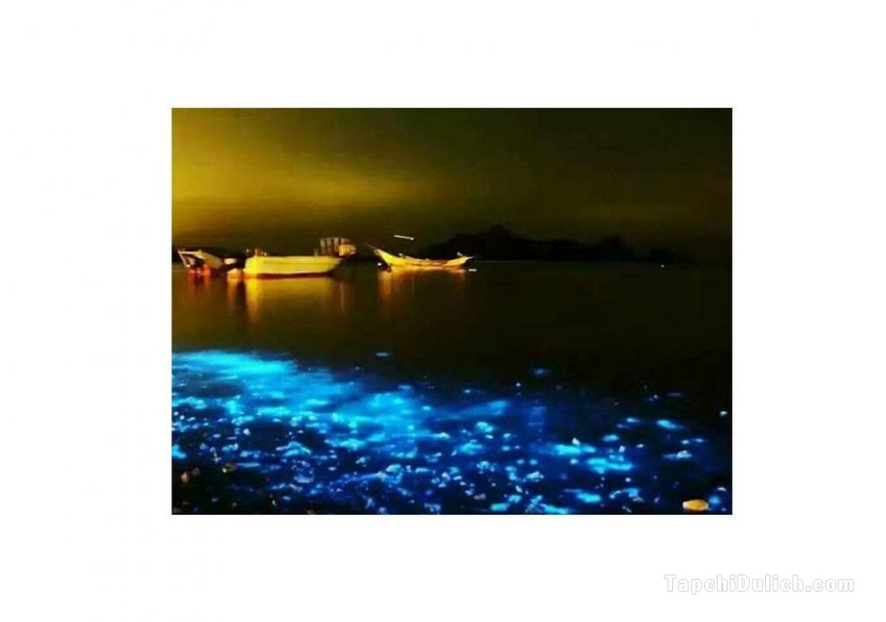 Jia Yuan Pangkor 88 Resort Villa 邦咯岛《家苑》海滩度假别墅