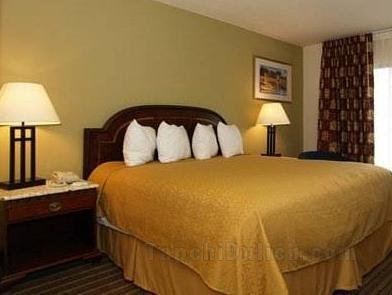 Quality Inn and Suites Pensacola Bayview