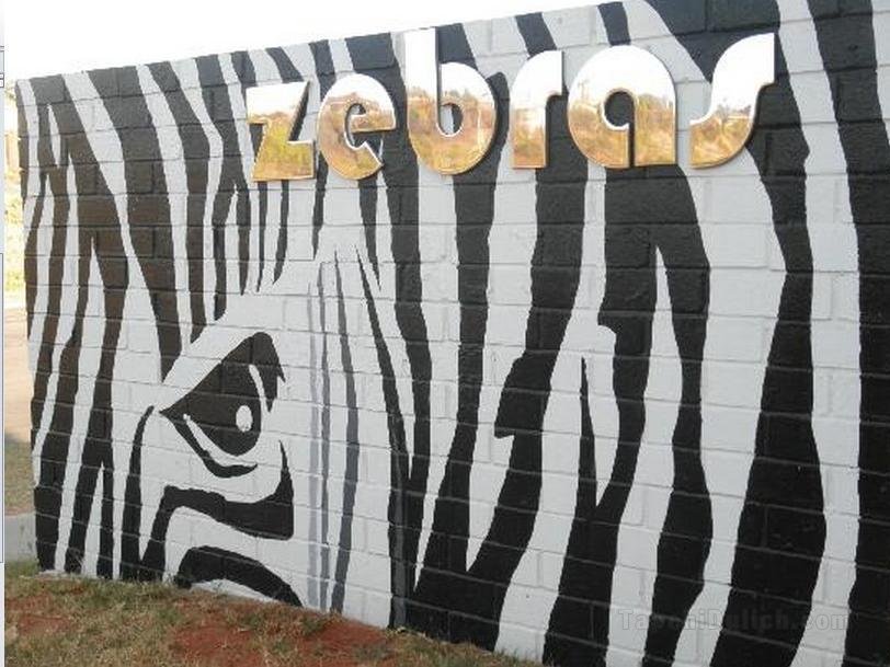 Zebras Guest House