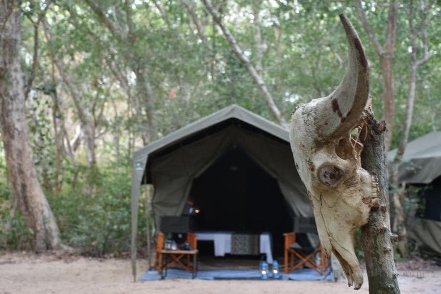 瑪胡拉帳篷野生動物營地 - 庫瑪納