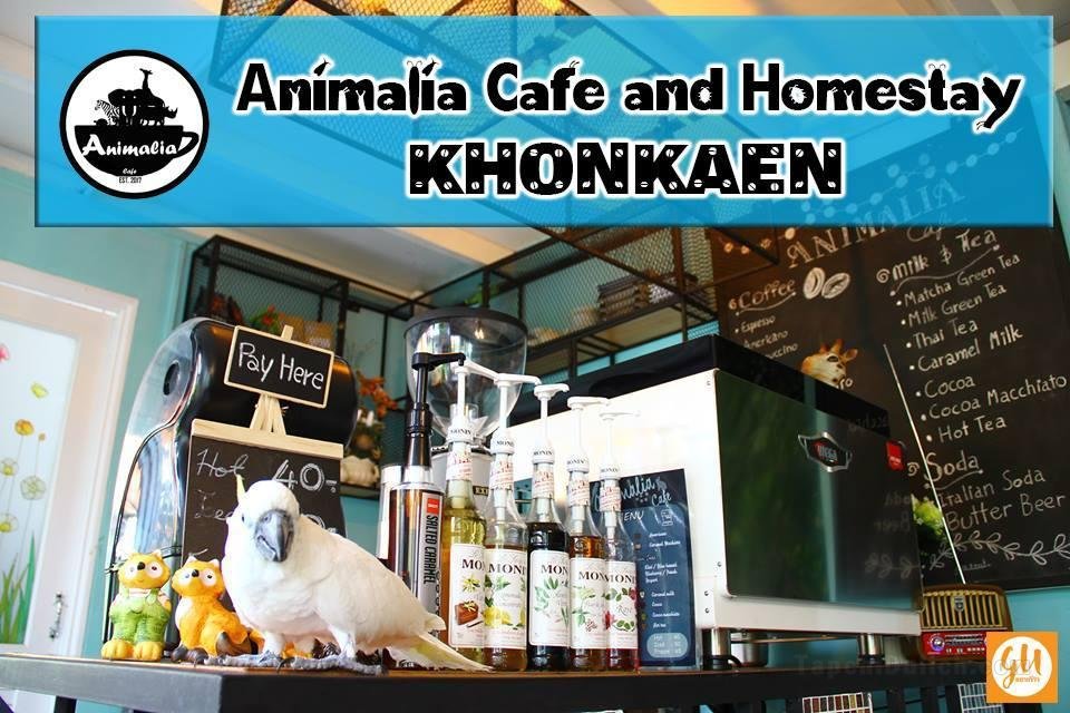Animalia cafe and homestay