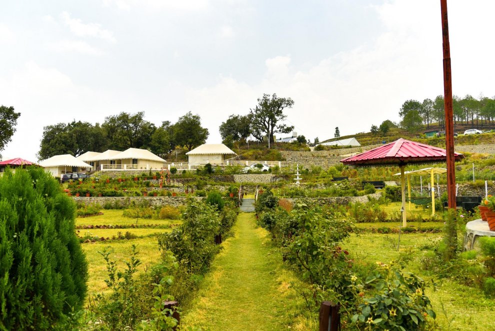 Charekh Food and Forest Resort