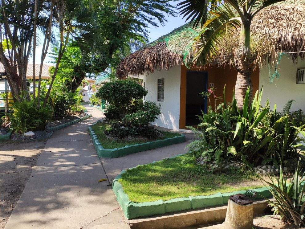 Khách sạn Cococay Resort