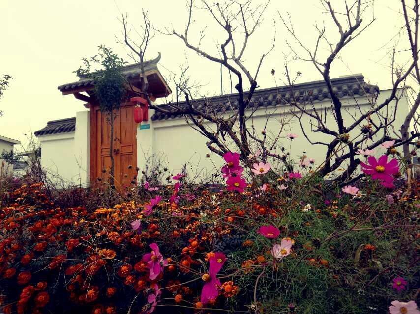 Scenery Retreats Taibai Mountain Hot Spring Villa Resort