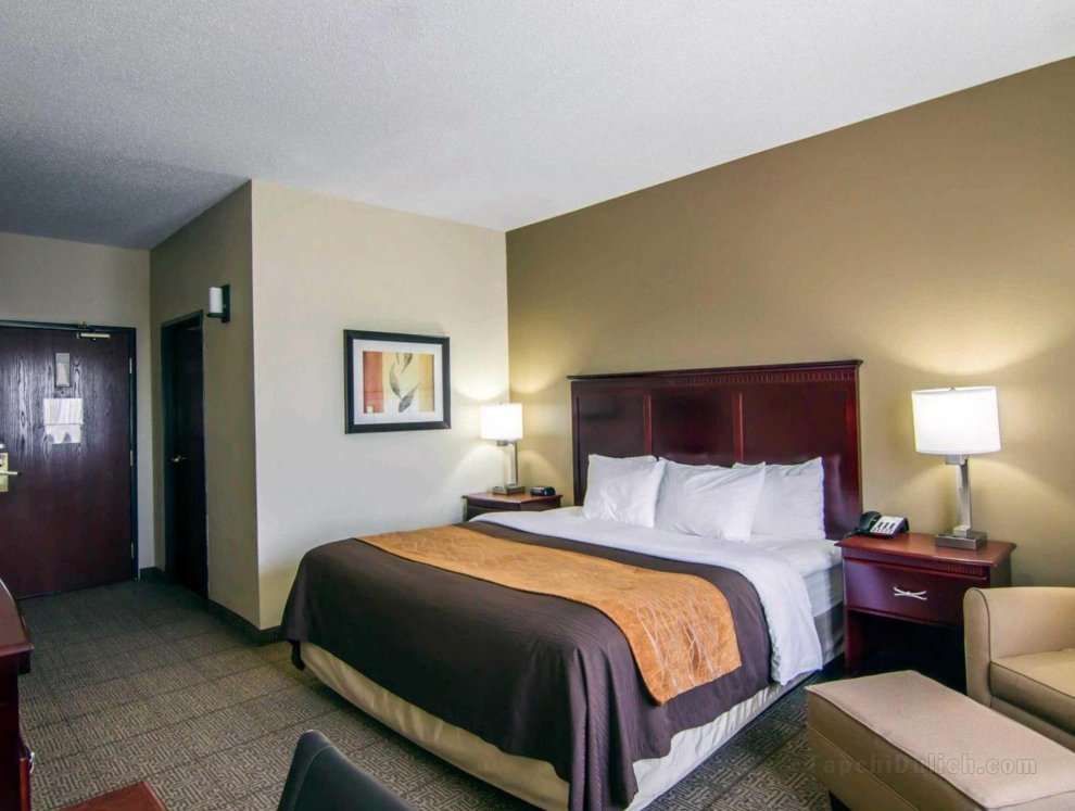 Comfort Inn and Suites Love Field-Dallas Market Center