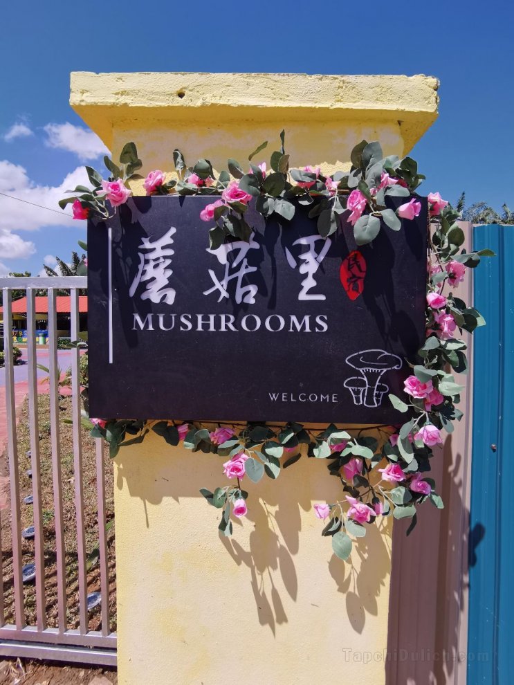 蘑菇旅館