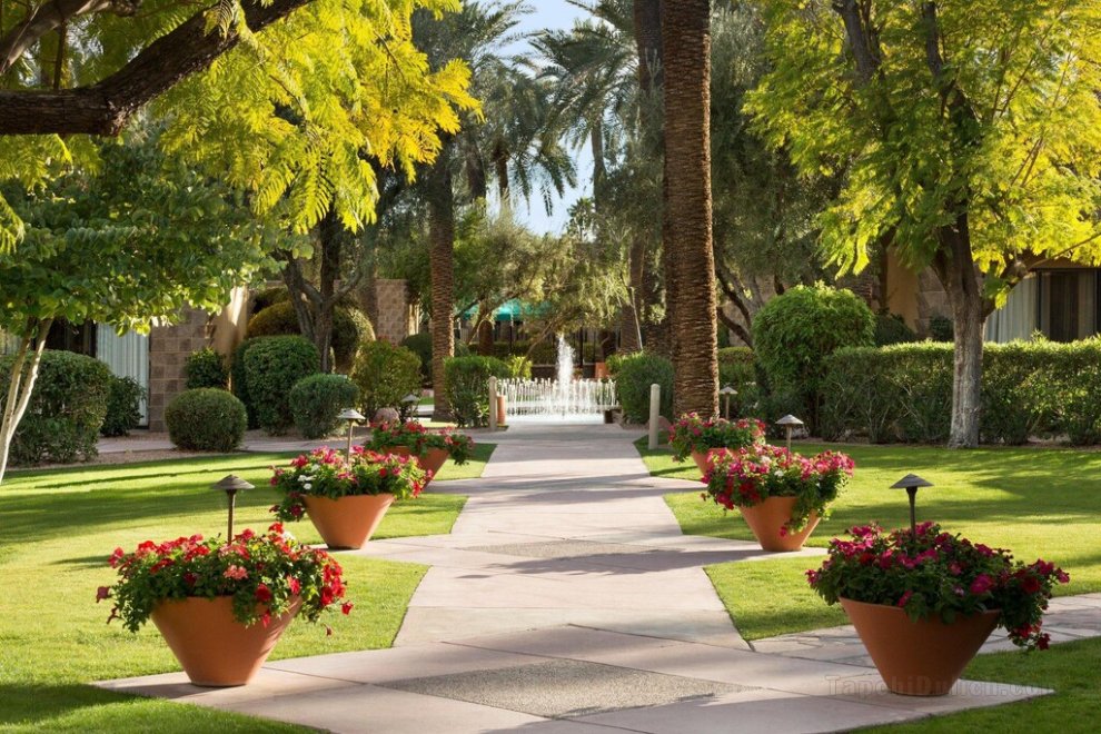 Khách sạn DoubleTree Resort by Hilton Paradise Valley - Scottsdale