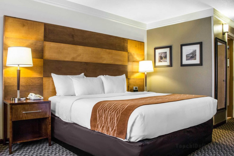 Comfort Inn & Suites Durango