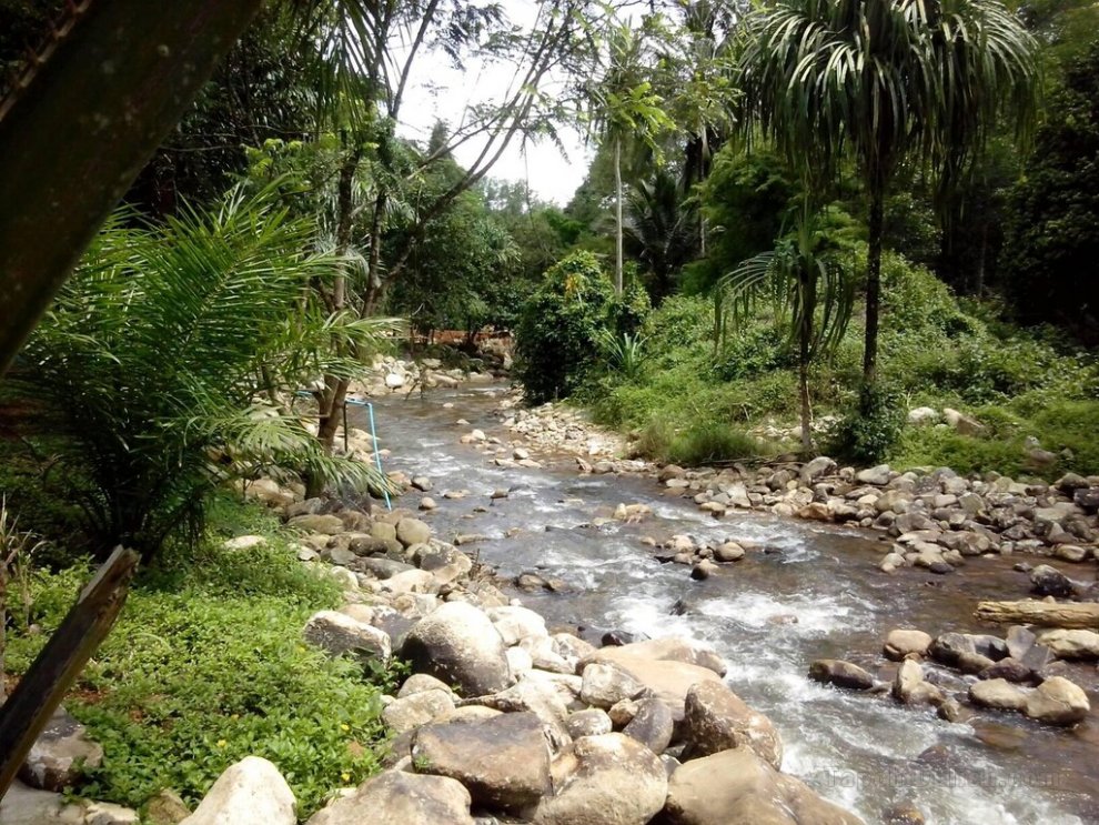 Bangnu River Resort