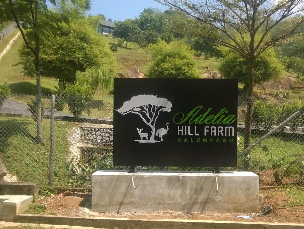 Adelia Hill Farm