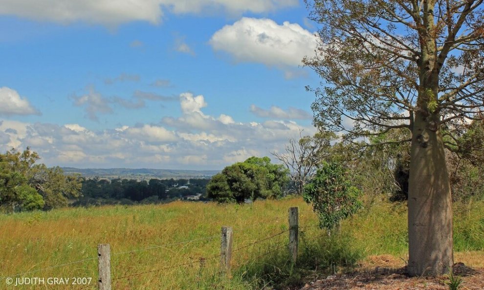 Escape to the Country - Enjoy the firepit or explore magical Bunya Mountains