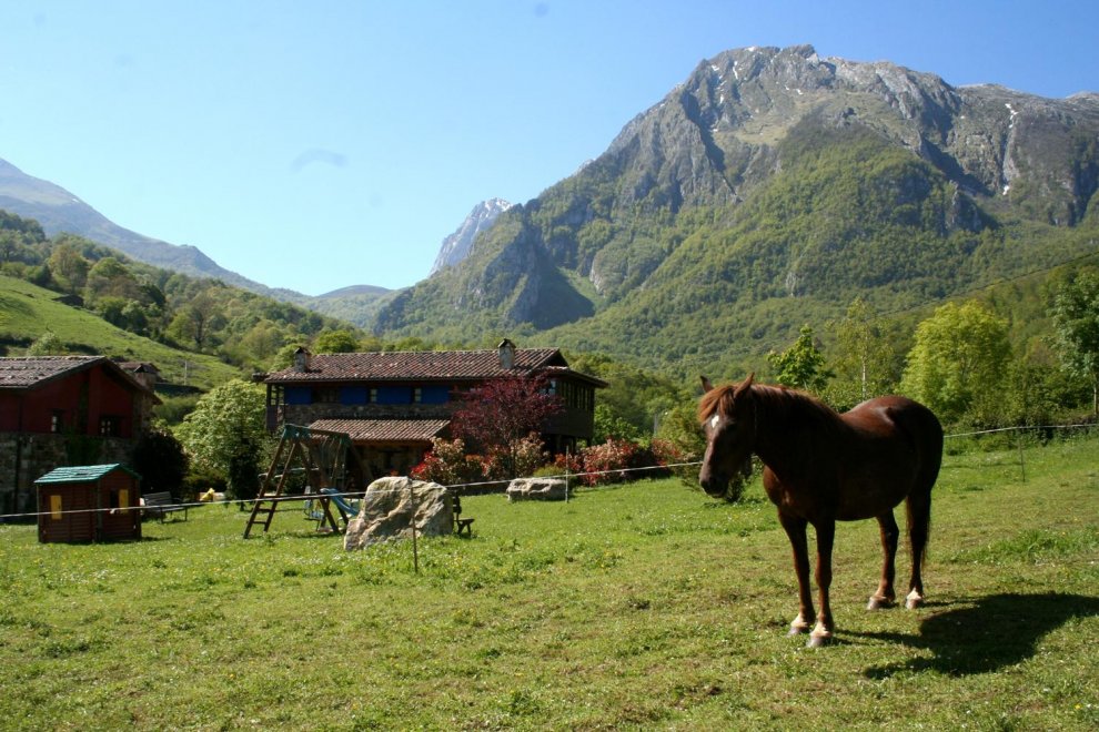 Casa Rural La Matuca, Senda Del Oso, Asturias