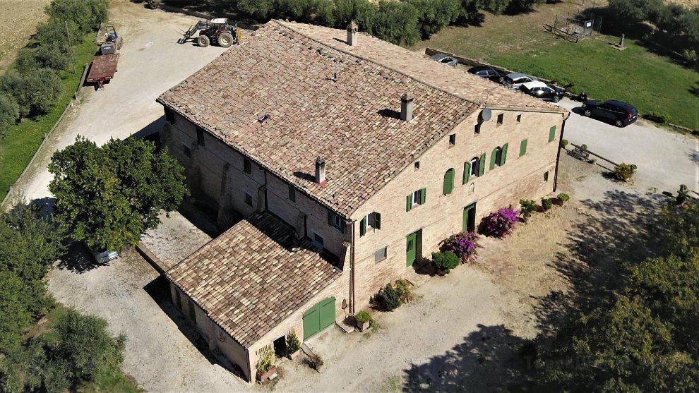 Ancient Farmhouse With Private Pool And Winery Xiv Century