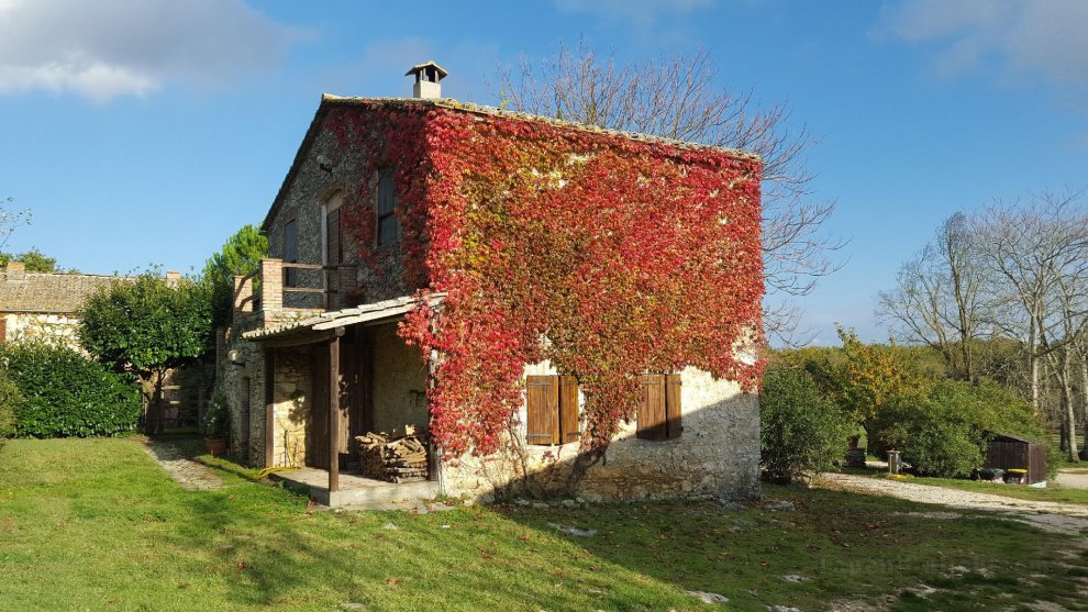 Silence and relaxation for families and couples in the countryside of Umbria