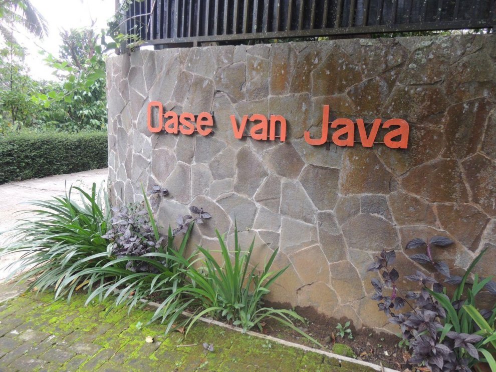 Oase van Java
