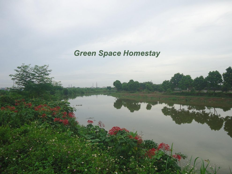 GREEN SPACE HOMESTAY - ROOM 102