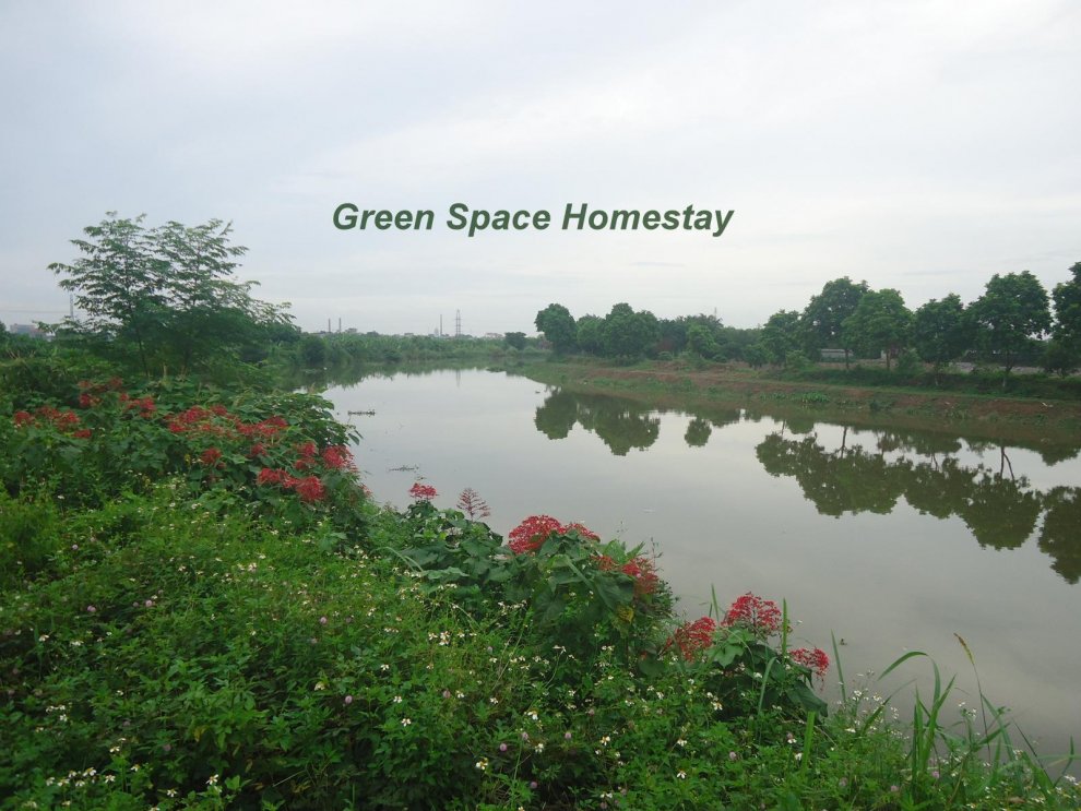GREEN SPACE HOMESTAY - ROOM 102