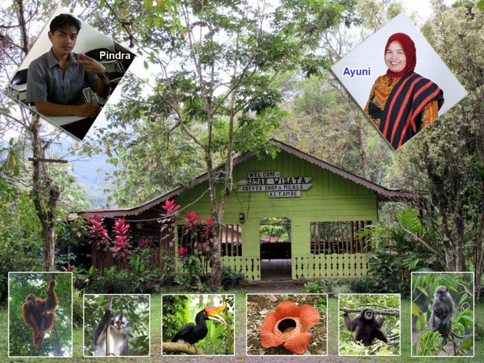 Bungalow 2 @ Sadar Wisata Guesthouse