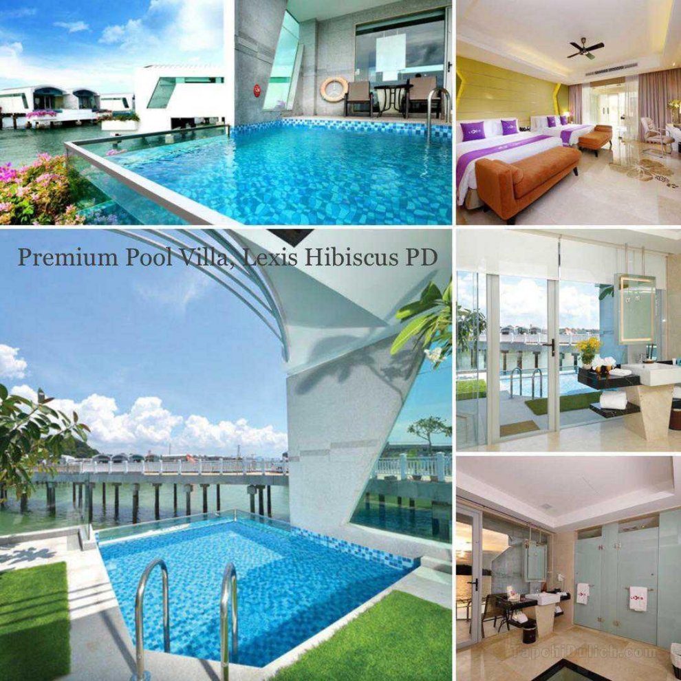 Premium Pool Villa Muslimtravelbug