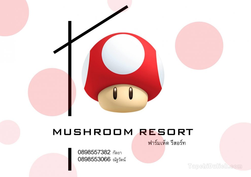 Mushroom Resort