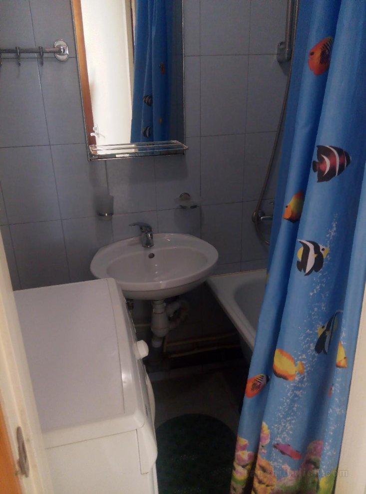 32平方米1臥室公寓 (基斯洛沃茨克市中心) - 有1間私人浴室