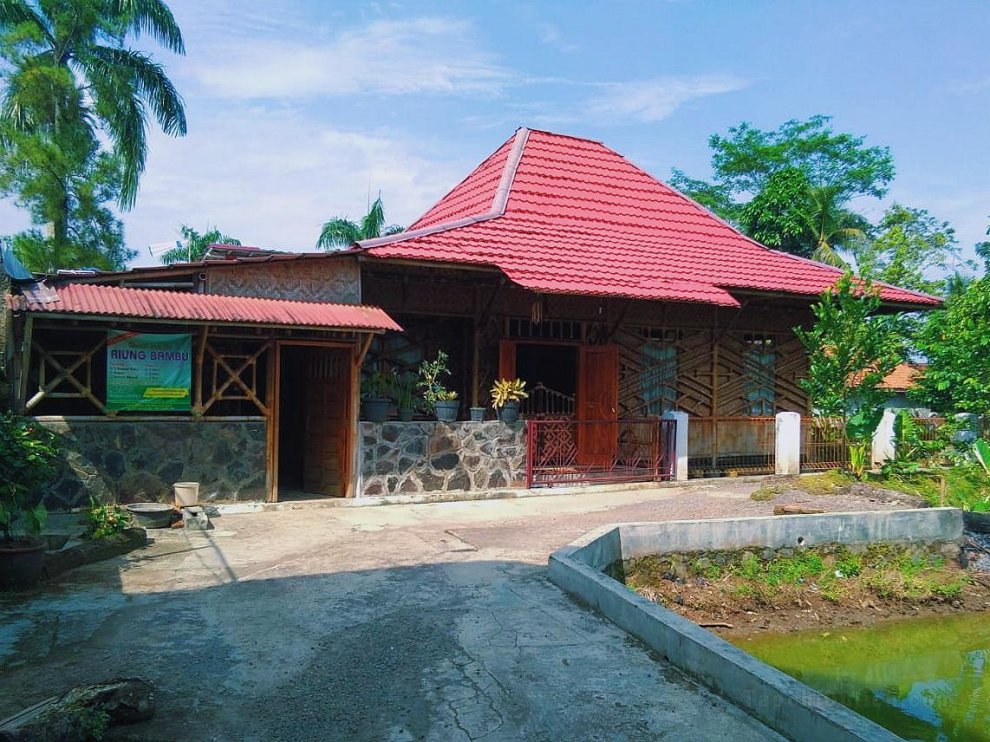 Sewa rumah bambu harian dengan fasilitas lengkap