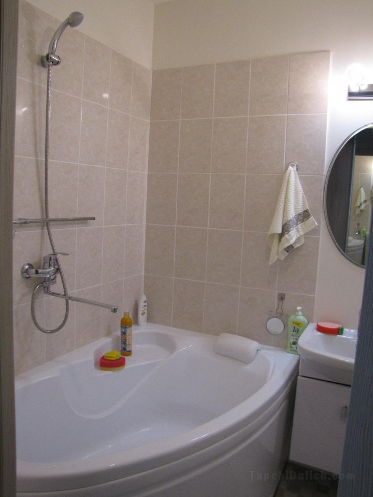 22平方米開放式公寓(巴爾瑙爾市中心) - 有1間私人浴室