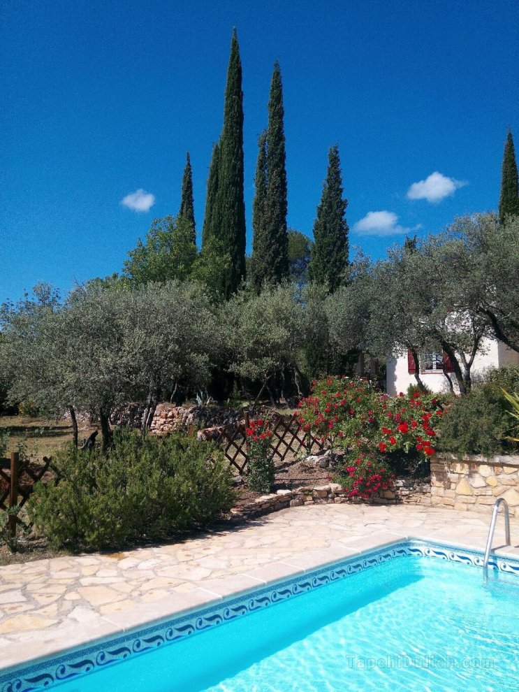 Cottage Les Oliviers at Cotignac in Provence