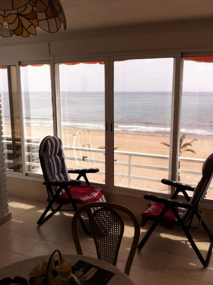 Studio on the beach front,  20 m from the beach