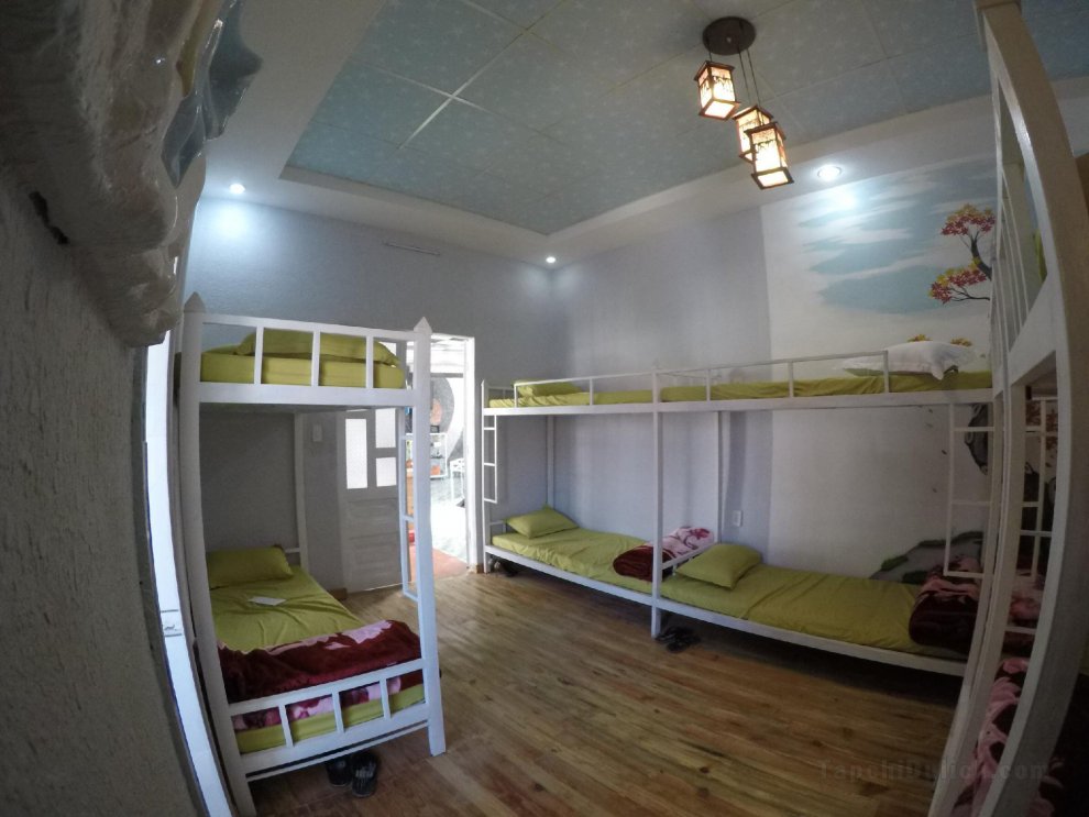 Anan homestay - 14-bed dorm room