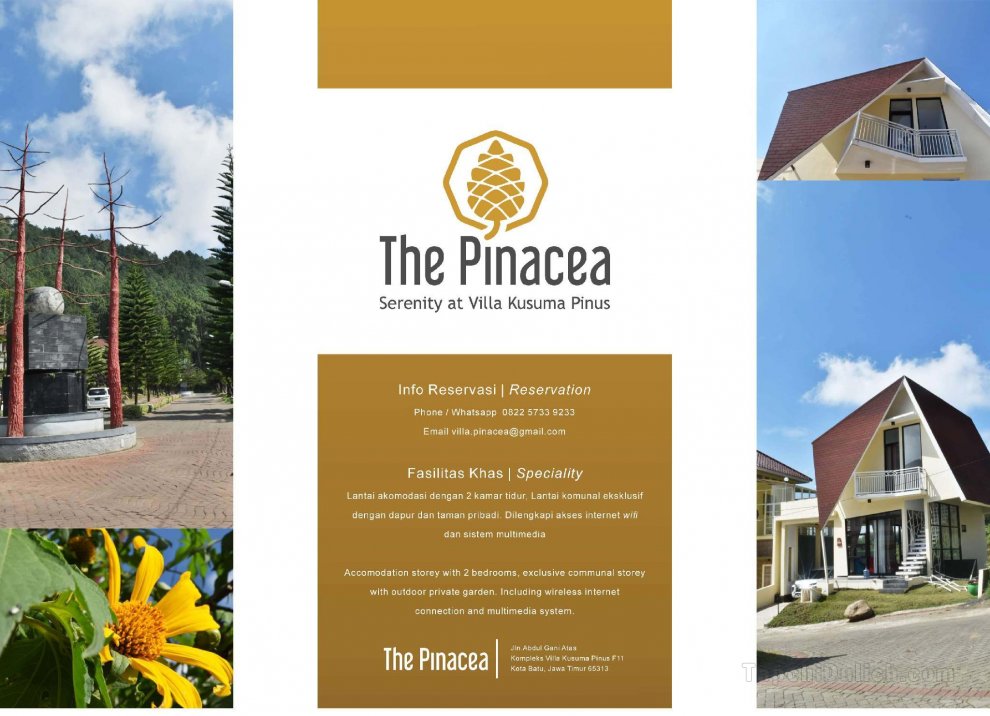 The Pinacea Villa